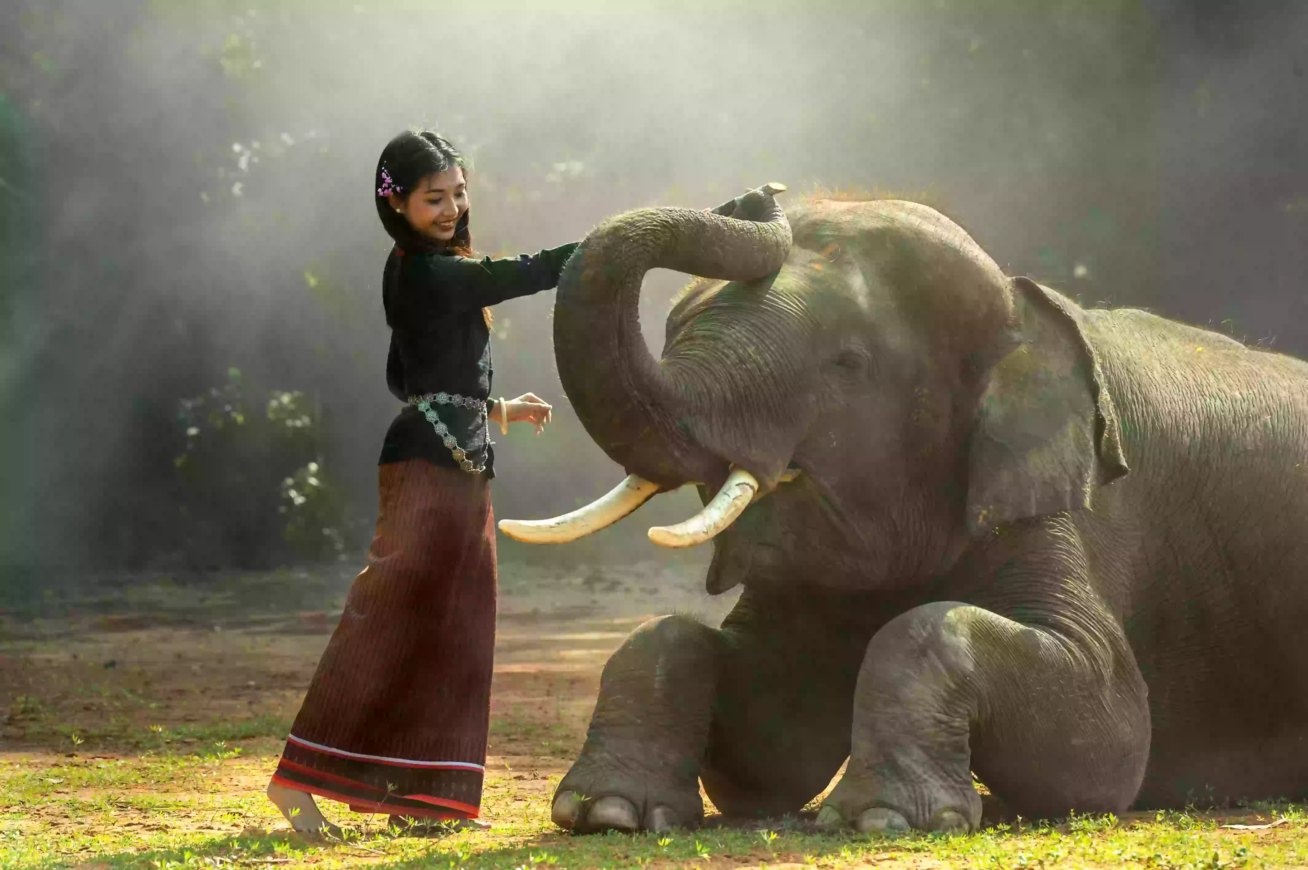 Asia-Girl-Elephant-Petting-Tusks-Trunk-Elephant-Trunk | Travel wz us