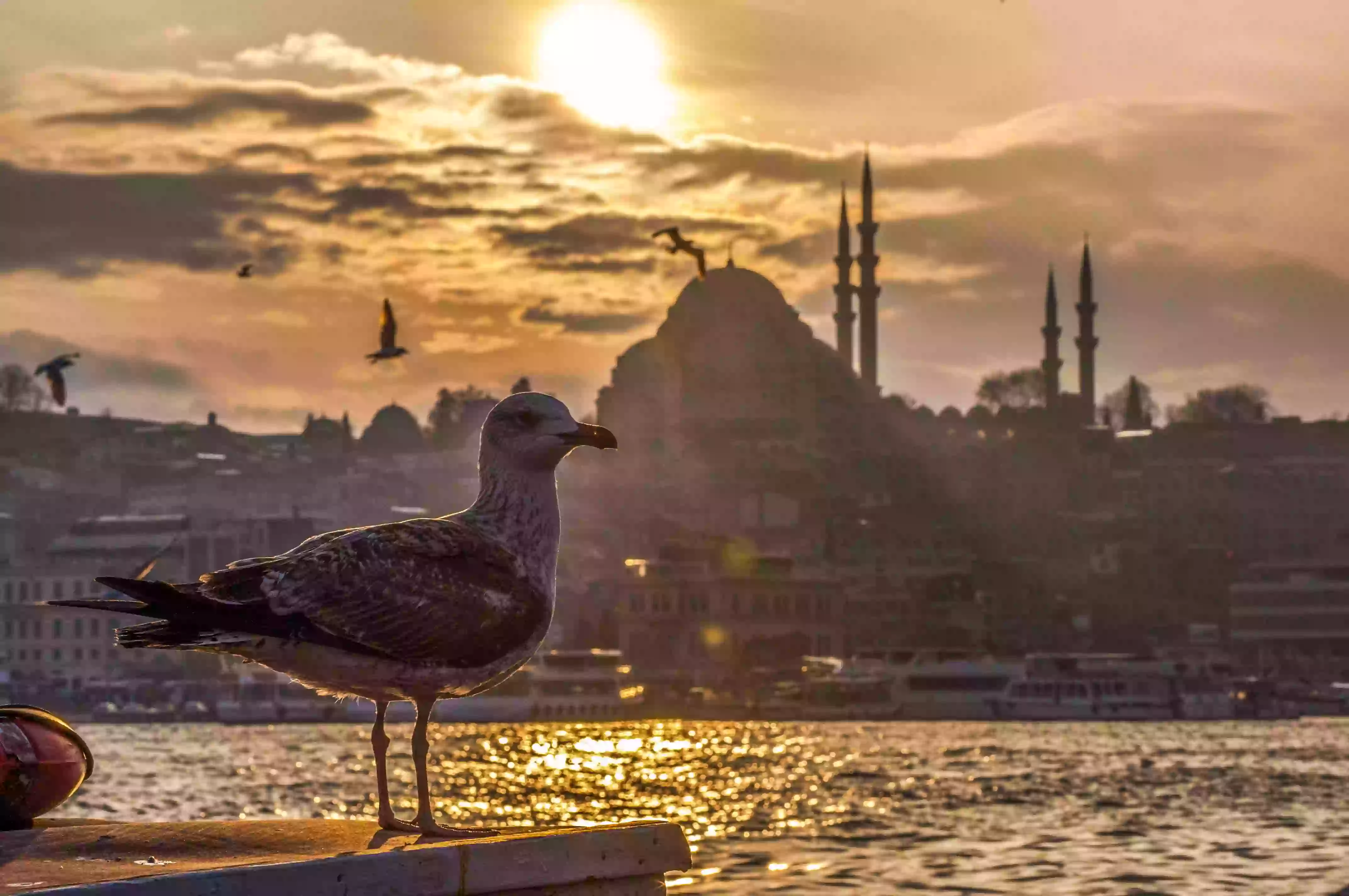 istanbul-turkey-travelwzus